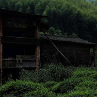 Tea Club - Season 2, Chapter 4: Red Tea 红茶