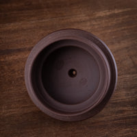Duo Qiu 掇球 - 310ml Yixing Teapot in Qingshuini Purple Clay