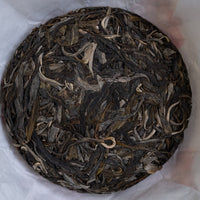 2025 Laobanzhang Sheng Pu'er, Ancient Trees Stone-pressed cake