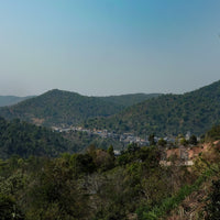 Eastern Tea Club, Chapter 4: Bùlǎng 布朗 - Eastern Leaves