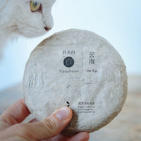 Chinese white tea Yueguangbai moonlight from Yunnan, pressed cake from organic forest, white cat