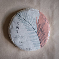 Pu'er sheng pu spring harvest vintage and aged in pressed cake, from Lunan Pasha Yunnan, Ancient trees gushu