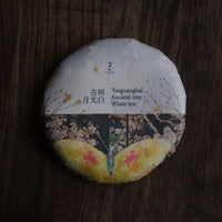 2023 Yueguangbai White Tea, Ancient Tree Stone-pressed cake - Eastern Leaves