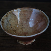 Layers of soil, 50ml Dai cup