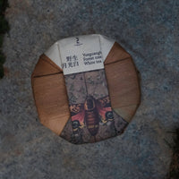 2023 Yueguangbai White Tea from Wild Forest, stone-pressed cake