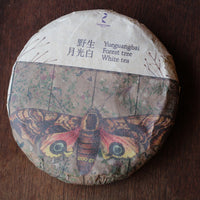 2023 Yueguangbai White Tea from Wild Forest, stone-pressed cake