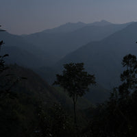 Eastern Tea Club, Chapter 2: Yìwǔ 易武 - Eastern Leaves