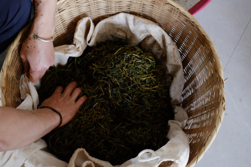 Tea Club - Season 2, Chapter 4: Red Tea 红茶