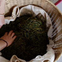 Tea Club - Season 2, Chapter 4: Red Tea 红茶
