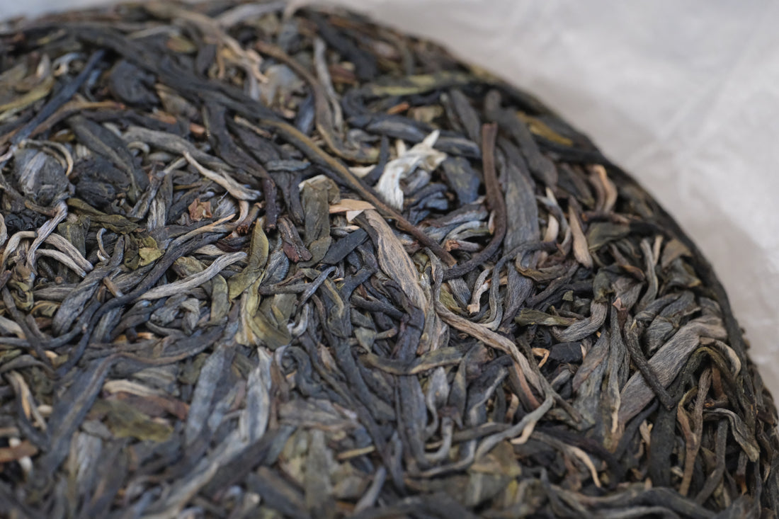 2026 Yibang Sheng Pu'er, Ancient Trees Stone-pressed cake