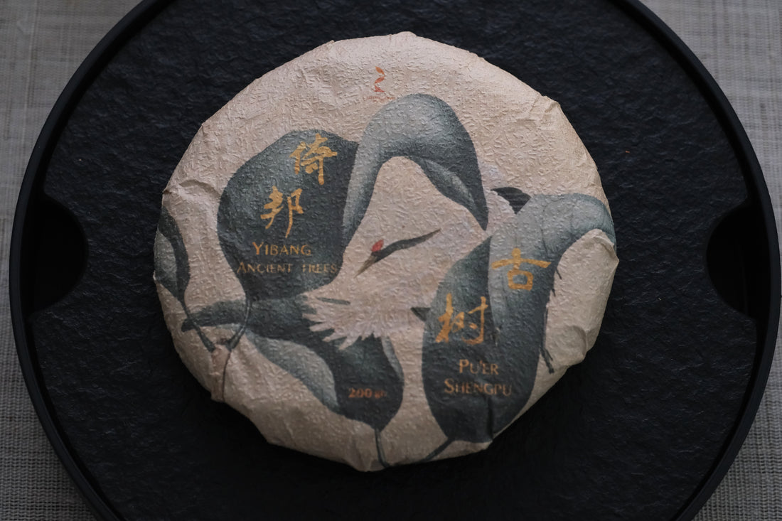 2026 Yibang Sheng Pu'er, Ancient Trees Stone-pressed cake