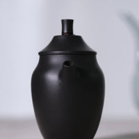 Liana - Jianshui Purple clay Teapot