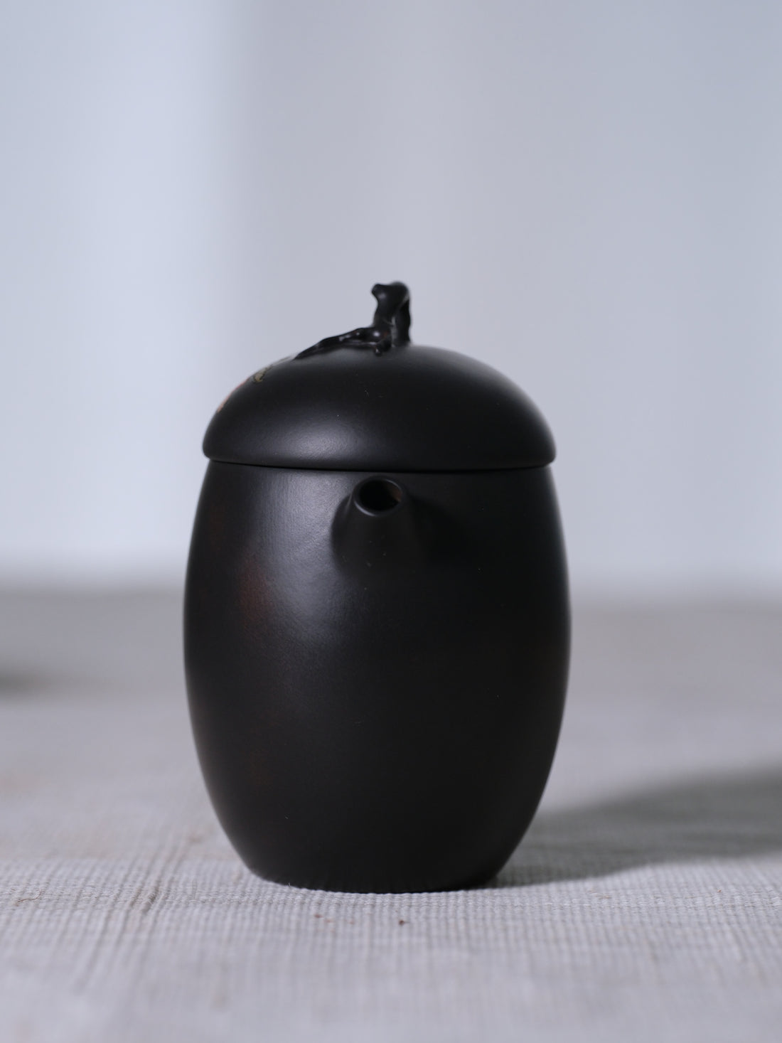Citron Twig - Jianshui Purple clay Teapot