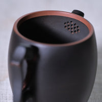 Citron Twig - Jianshui Purple clay Teapot
