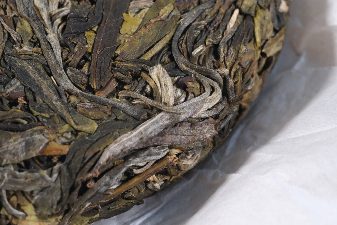 2026 Nannuo Sheng Pu'er, Wild Forest Stone-pressed cake