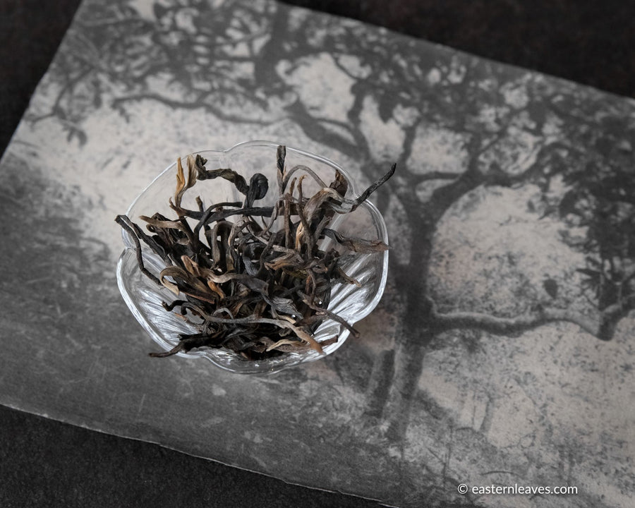 Pu'er shengpu Chinese tea loose-leaf vintage and aged, 2017 spring harvest, from ancient trees forest with photo