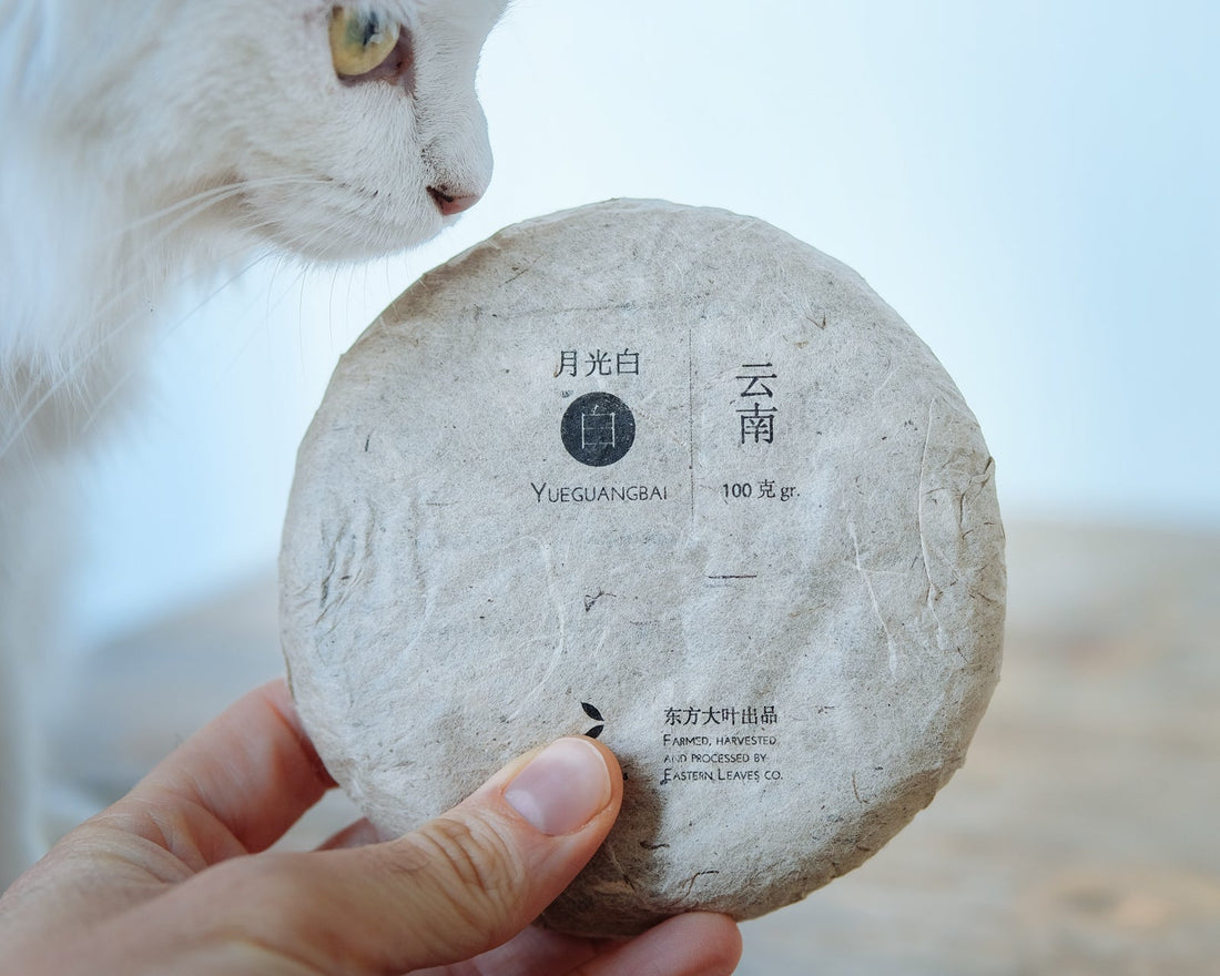 Chinese white tea Yueguangbai moonlight from Yunnan, pressed cake from organic forest, white cat