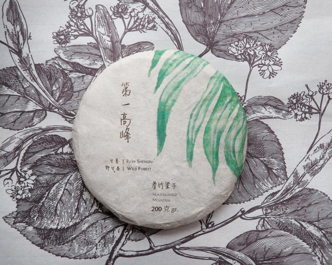 Pu'er shengpu Chinese tea pressed cake brick vintage and aged, 2019 spring harvest, from Huazhuliangzi in Yunnan