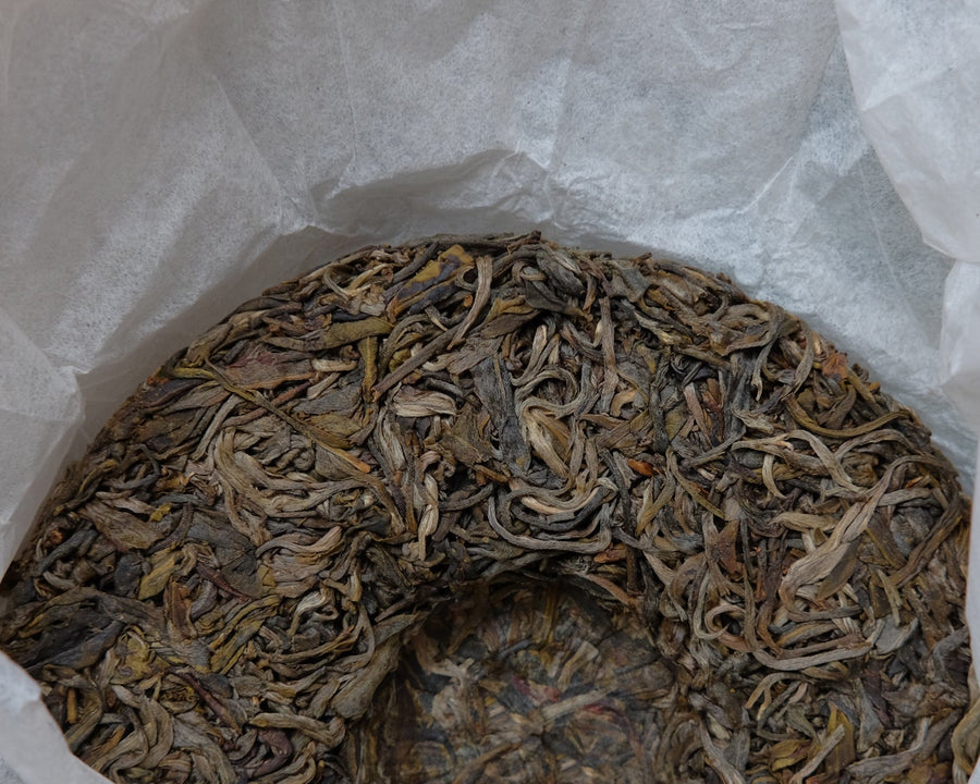 Leaves detail of Pu'er shengpu Chinese tea pressed cake brick vintage and aged, 2019 spring harvest, from Huazhuliangzi in Yunnan