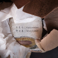 2020 Yueguangbai White Tea, Wild Forest stone-pressed cake