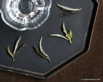 2021 Mudan Wang 牡丹王 - King of Baimudan - Eastern Leaves