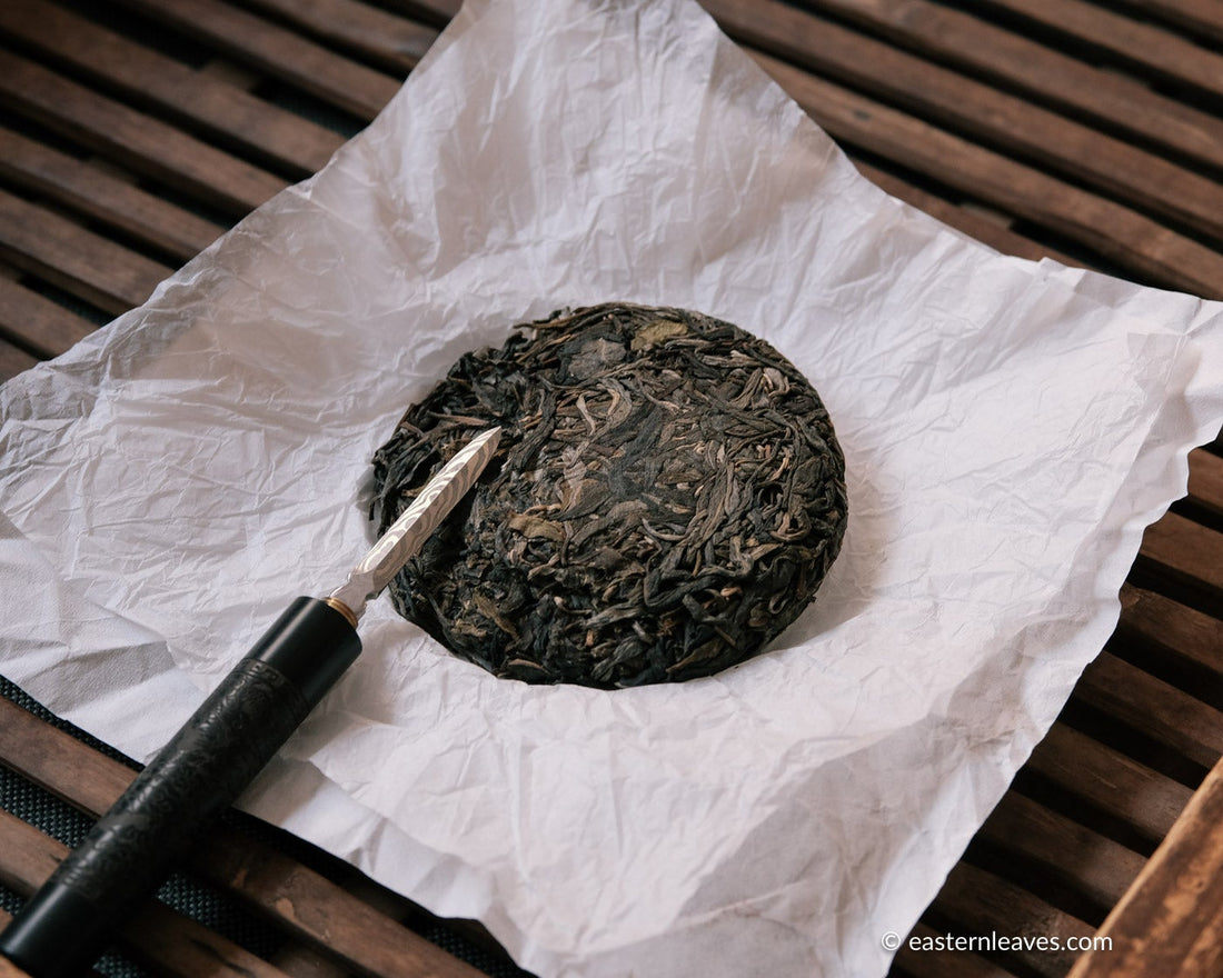 Pu'er shengpu ancient trees gushu in pressed cake, from Yunnan, China, with bamboo tray. 2021 spring harvest vintage