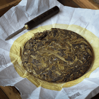 pu'er tea pressed in brick cake from Lunan mountain, Yunnan, from ancient trees gushu, huangpian yellow leaves leaves detail