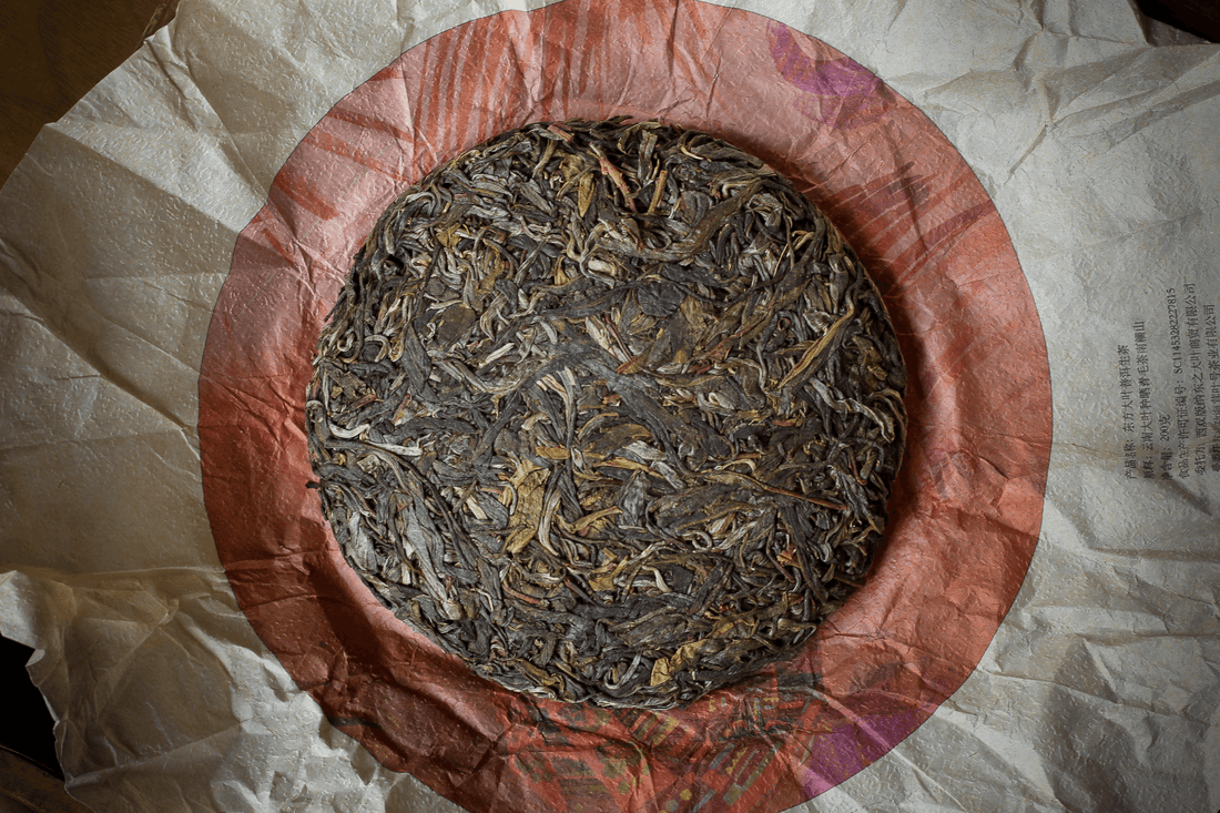 high quality pu'er tea pressed in brick cake from Nannuo mountain, Bama, Yunnan, Xishuangbanna, with details of the loose-leaf