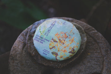 ancien trees gushu white tea Yueguangbai, Yunnan, China, in high quality pressed cake