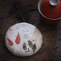 Pu'er sheng pu autumn harvest vintage and aged  in pressed cake, from Yunnan, Ancient trees gushu, and red gaiwan ceramic