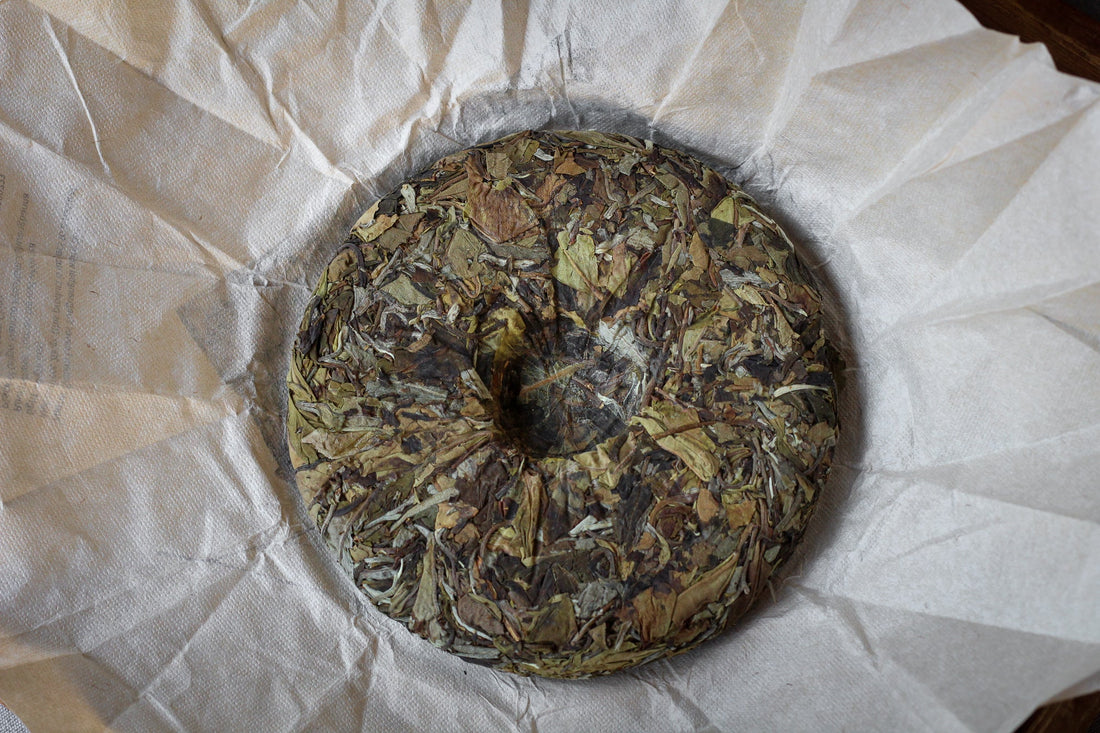 2023 Yueguangbai White Tea from Wild Forest, stone-pressed cake
