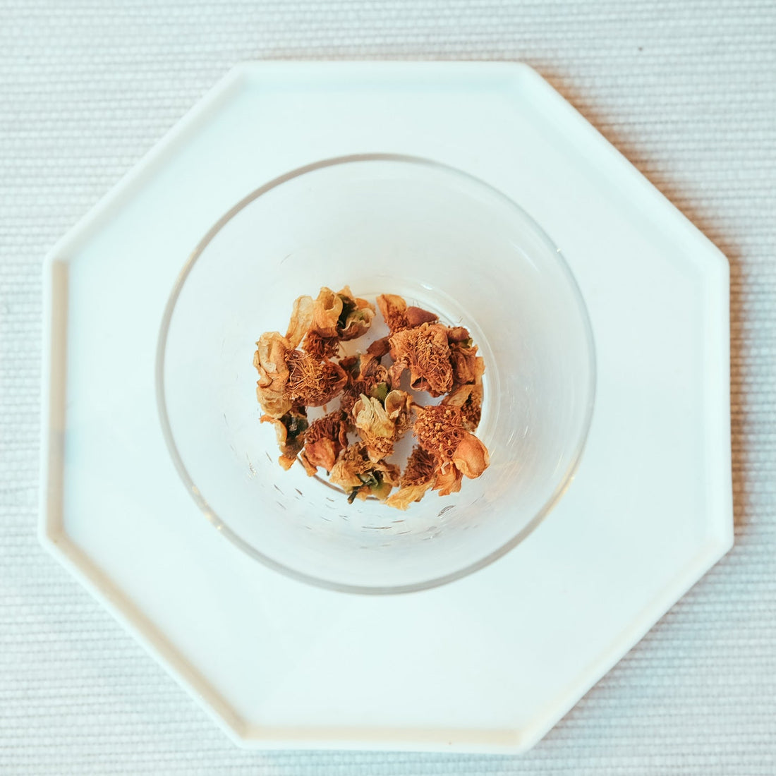 Camellia assamica flowers Daye tea, tea flower, from Yunnan China