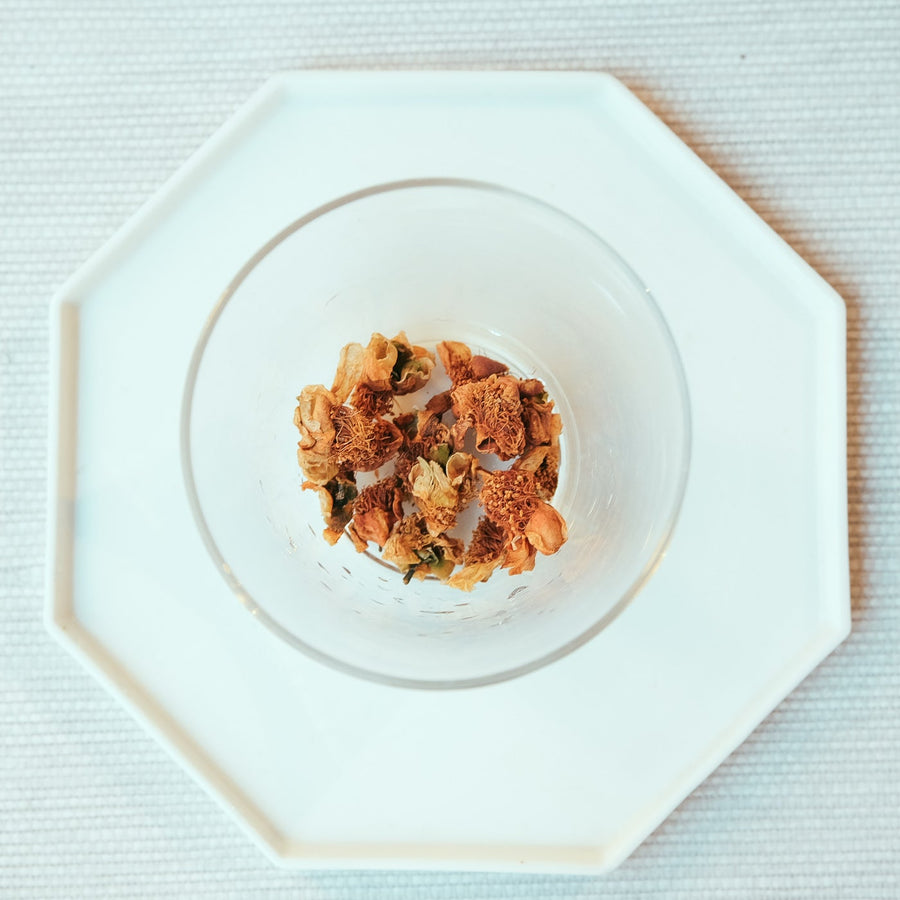 Camellia assamica flowers Daye tea, tea flower, from Yunnan China