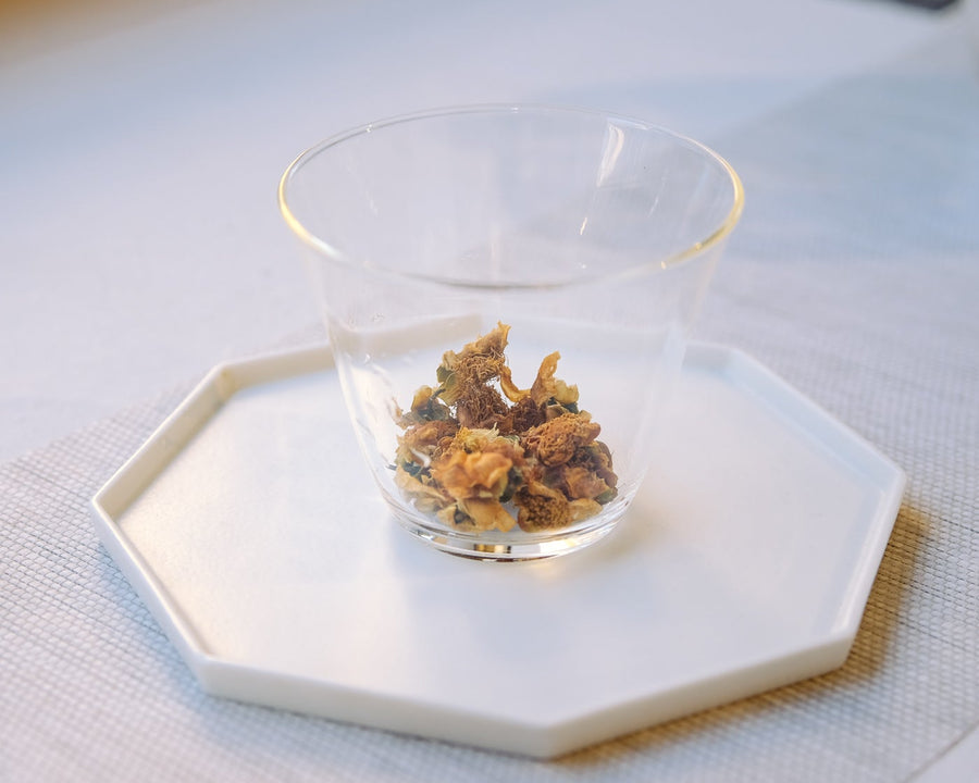 Camellia assamica flowers Daye tea, tea flower, from Yunnan China